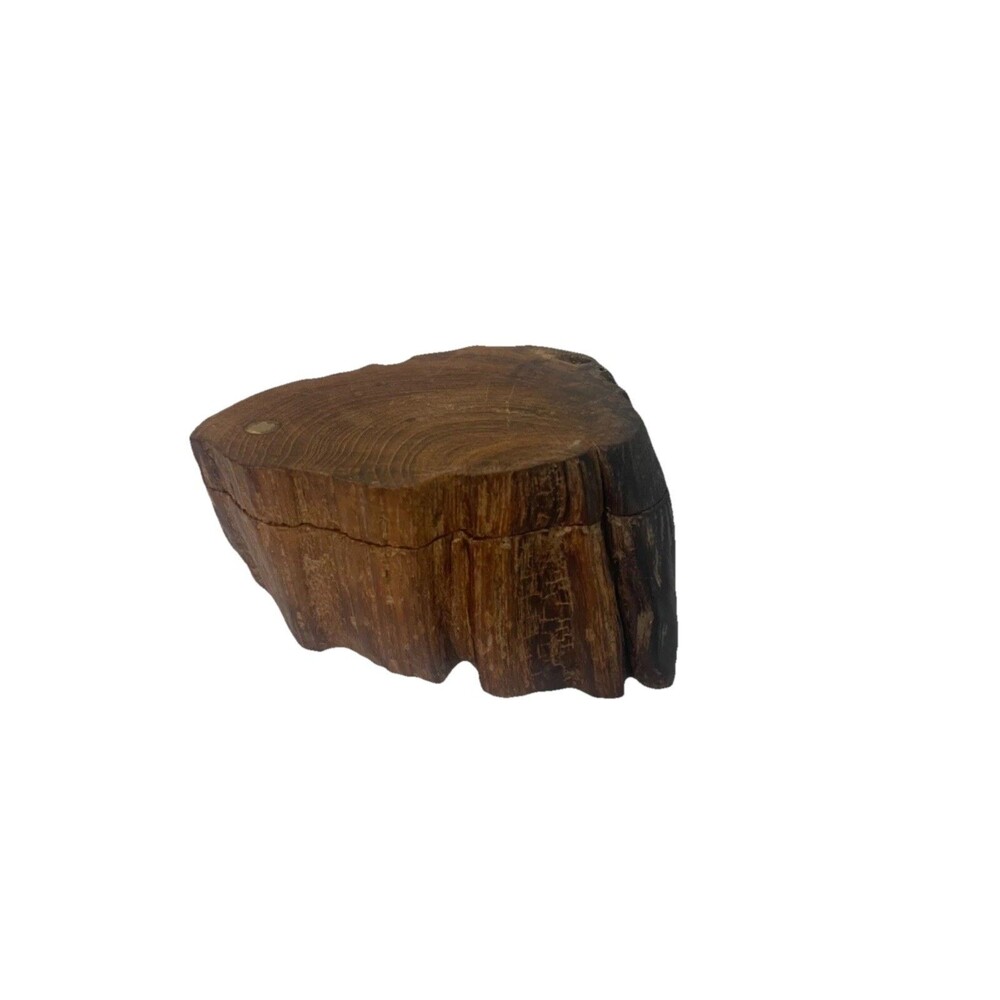 Vintage Driftwood Jewel Box Treasure Box Handmade Vanity Decor Unique Fast Ship - Picture 2 of 8